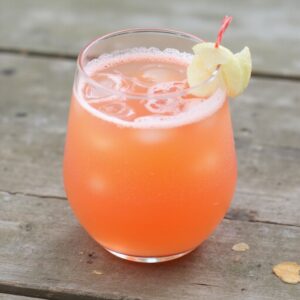 grapefruit___ginger_zing_juice_1